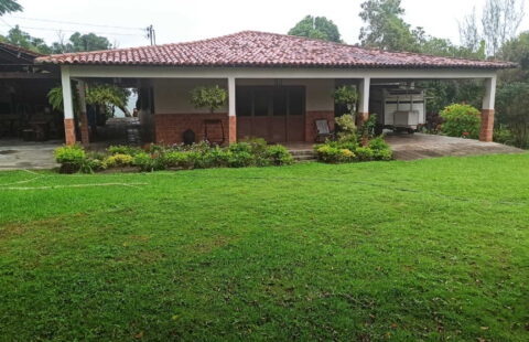 Fazenda com 32 hectares
