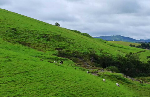 Fazenda com 124 hectares
