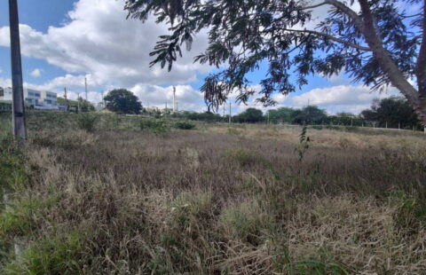 Lote fora de Condomínio
