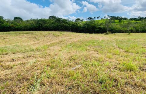 Lote em condomínio as margens da BR 232