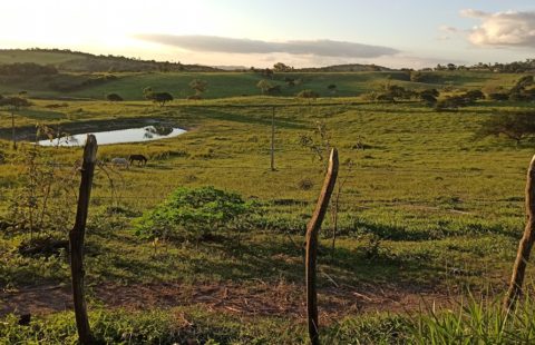 Fazenda com 28 Hectares