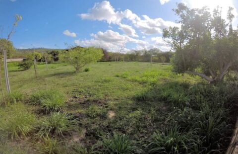 Lote fora de condomínio