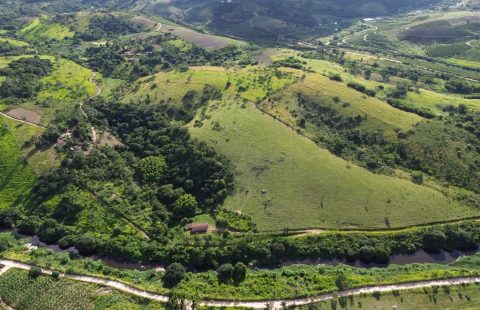 fazenda com 40Hectares ás margens do Rio Ipojuca